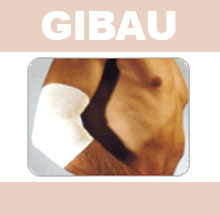 GIBAU025