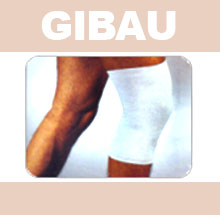 GIBAU034