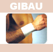 GIBAU077