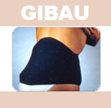 GIBAU110