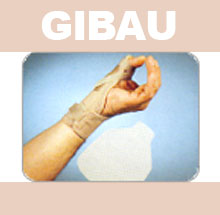 GIBAU120