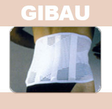 GIBAU256