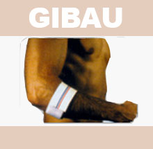 GIBAU338